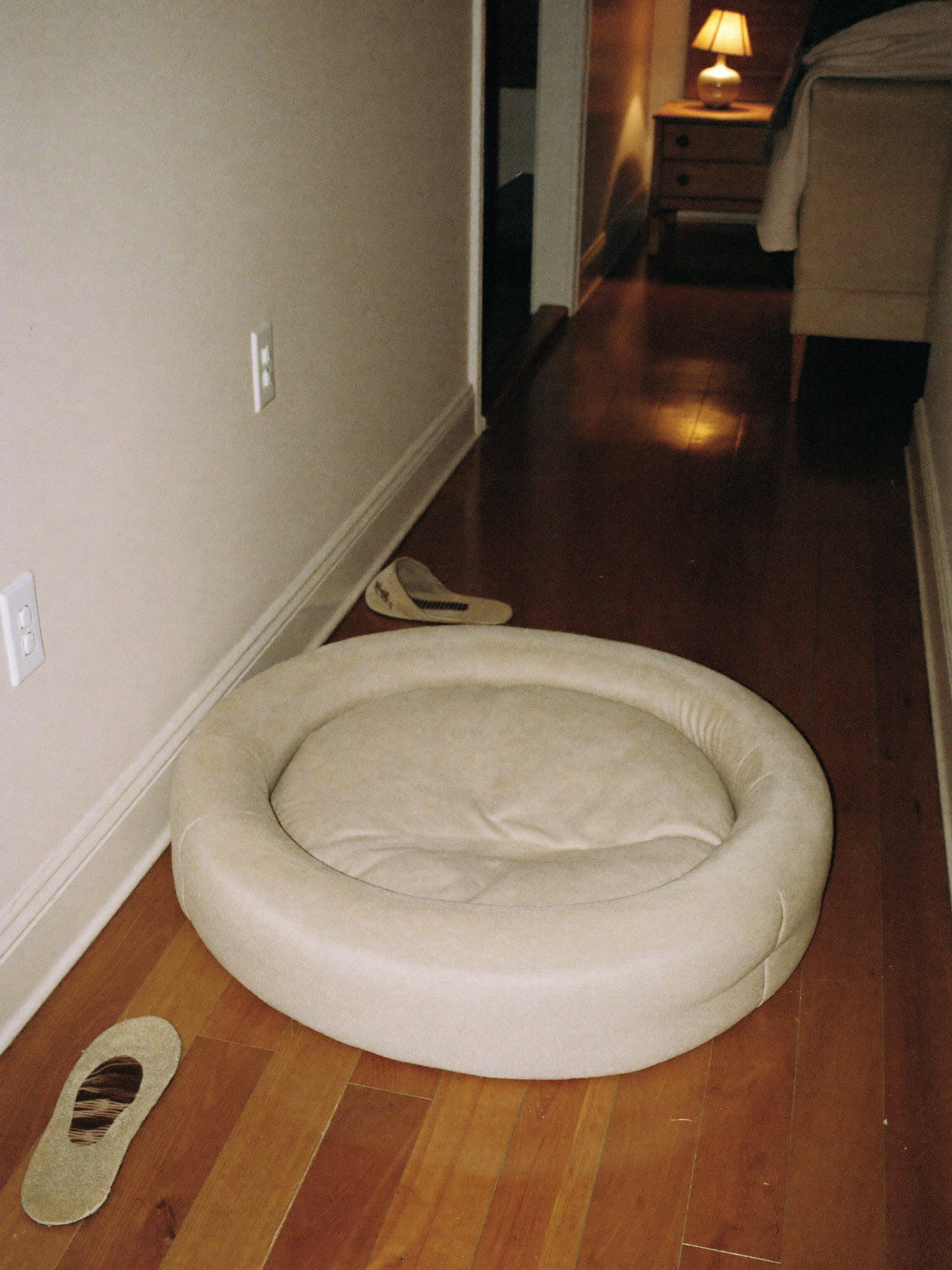 An empty, well-worn dog bed in a warm home at night